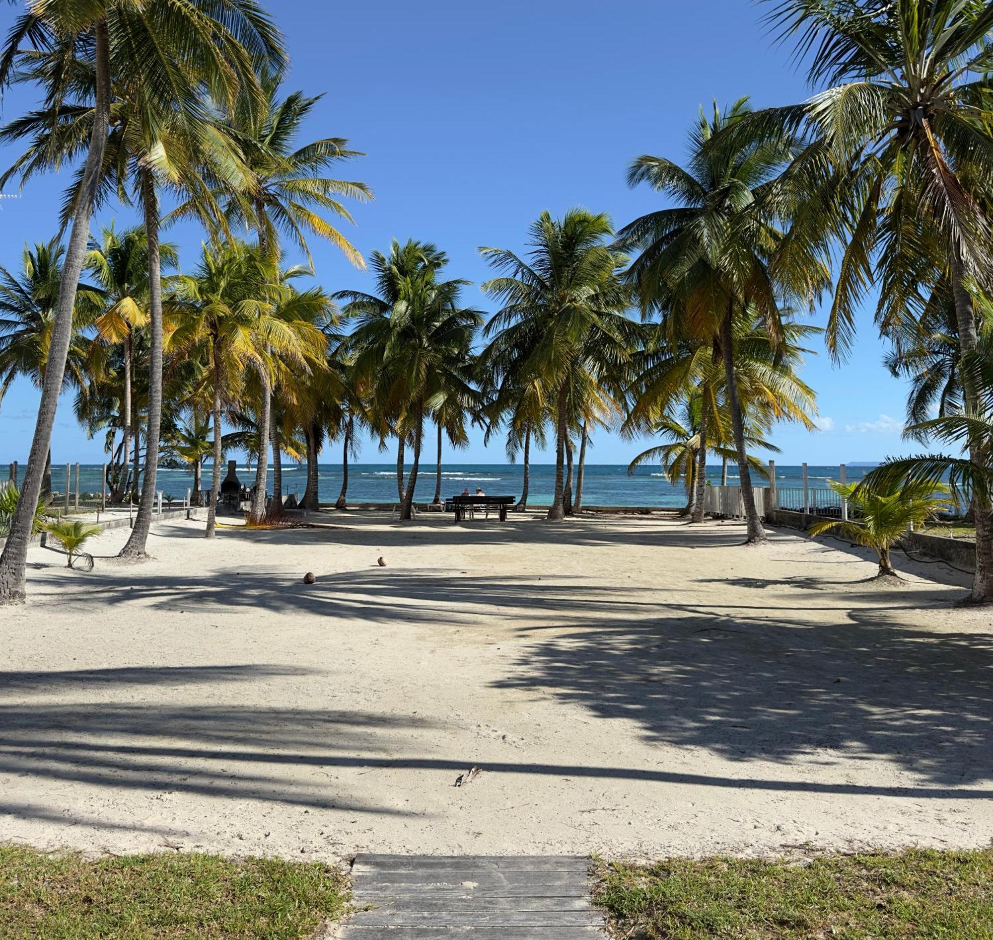 Le Cottage De Castaing Sur Plage Privee Sainte-Anne  Extérieur photo