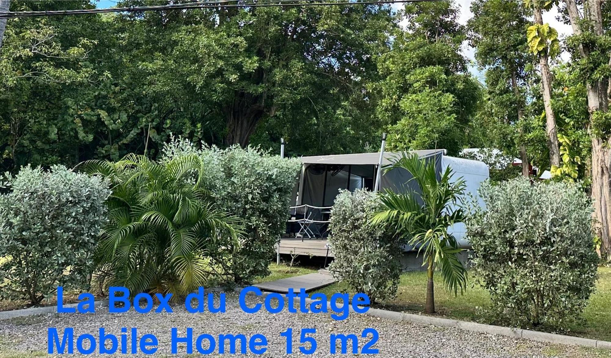 Le Cottage De Castaing Sur Plage Privee Sainte-Anne  Extérieur photo